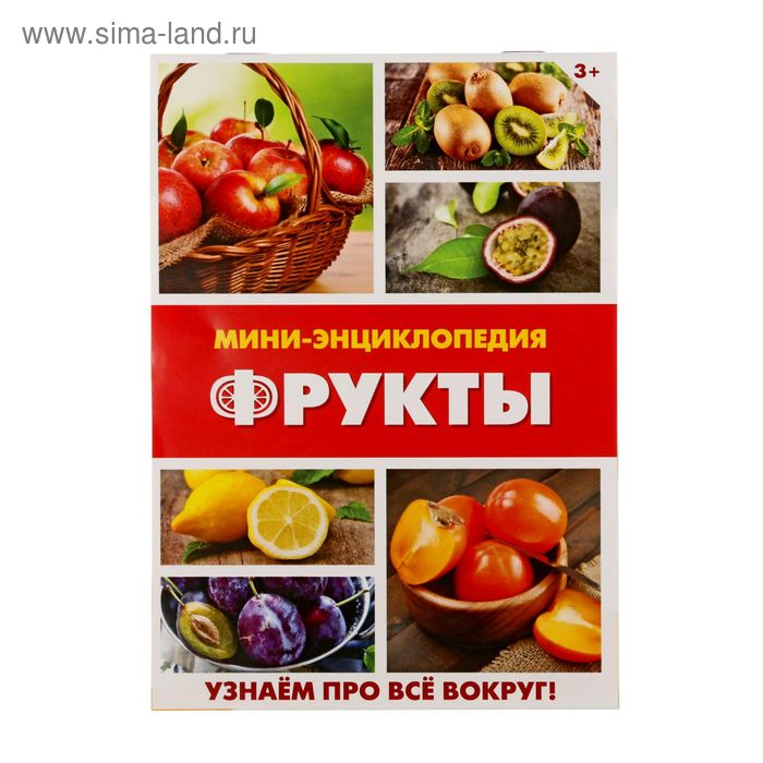 Мини-энциклопедия «Фрукты», 20 стр. - Фото 1