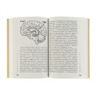 Тайная опора: привязанность в жизни ребёнка. Петрановская Л.В. - Фото 3