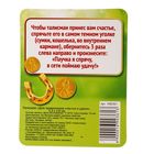 Талисман "Для привлечения счастья и удачи" - Фото 5