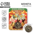 Монета сувенир «Денежный магнит», d=2 см - Фото 1