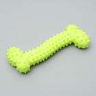 Набор игрушек для собак, 3 шт., микс цветов - Фото 3