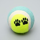 Набор игрушек для собак, 3 шт., микс цветов - Фото 6