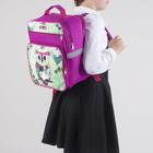Рюкзак школьный, 2 отдела на молниях, 2 наружных кармана, цвет розовый/зелёный - Фото 3