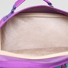 Рюкзак школьный, 2 отдела на молниях, 2 наружных кармана, цвет голубой/фиолетовый - Фото 5