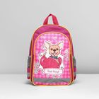 Рюкзак школьный, отдел на молнии, 3 наружных кармана, цвет розовый - Фото 2