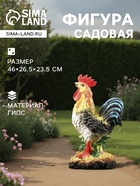 Садовая фигура из гипса «Петух», 46×26.5×23.5 см - Фото 1