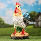Садовая фигура из гипса «Петух», 46×26.5×23.5 см - Фото 6