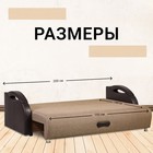 Диван прямой «Юпитер», ППУ, еврокнижка, рогожка/экокожа, цвет ратибор тёмный - Фото 3