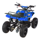 Квадроцикл детский бензиновый MOTAX ATV Х-16 Мини-Гризли, синий, механический стартер - Фото 5