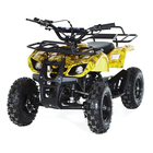 Квадроцикл детский бензиновый MOTAX ATV Х-16 Мини-Гризли, осенний камуфляж, механический стартер - Фото 1
