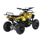 Квадроцикл детский бензиновый MOTAX ATV Х-16 Мини-Гризли, осенний камуфляж, электростартер и родительский пульт - Фото 5