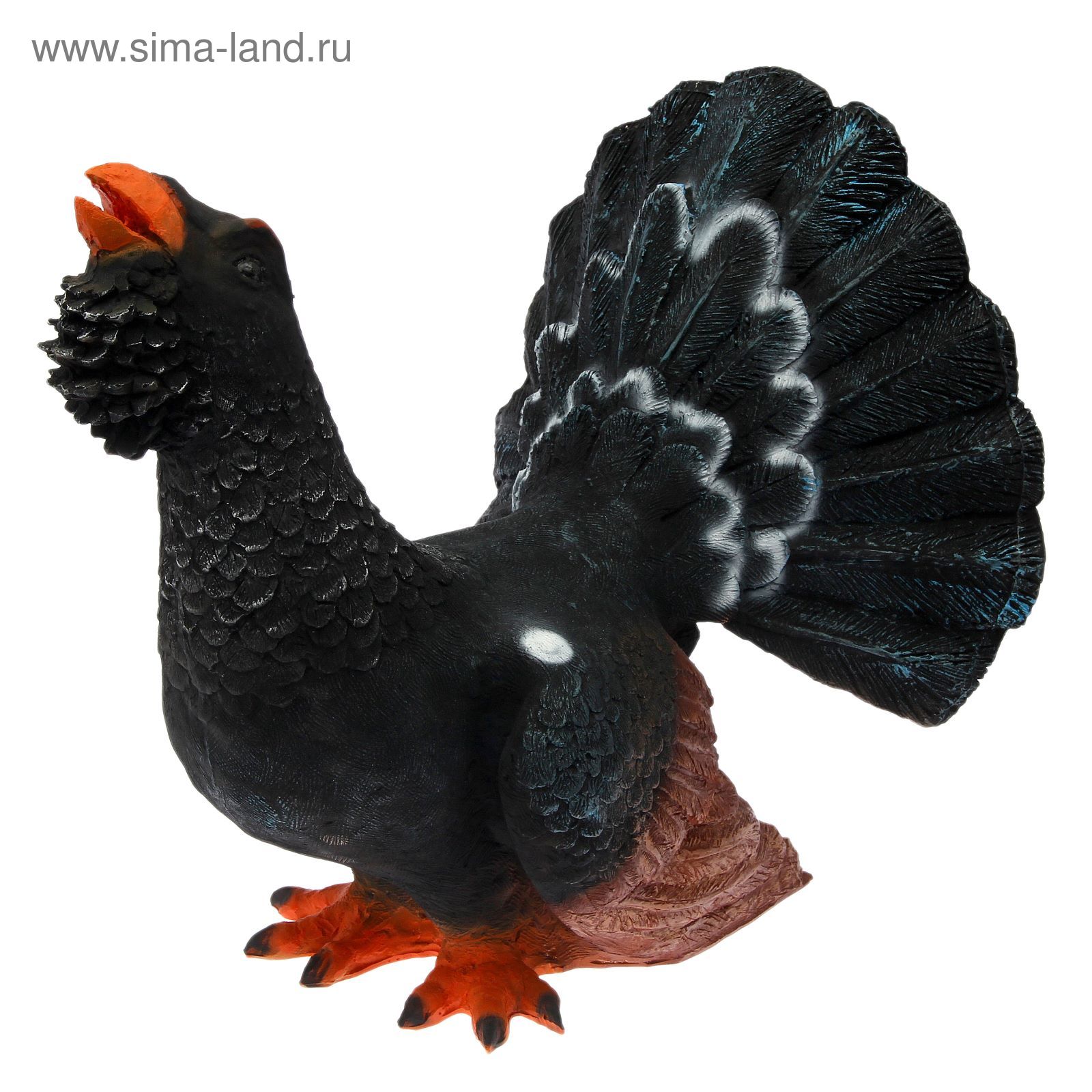 Глухарь Птица Продажа