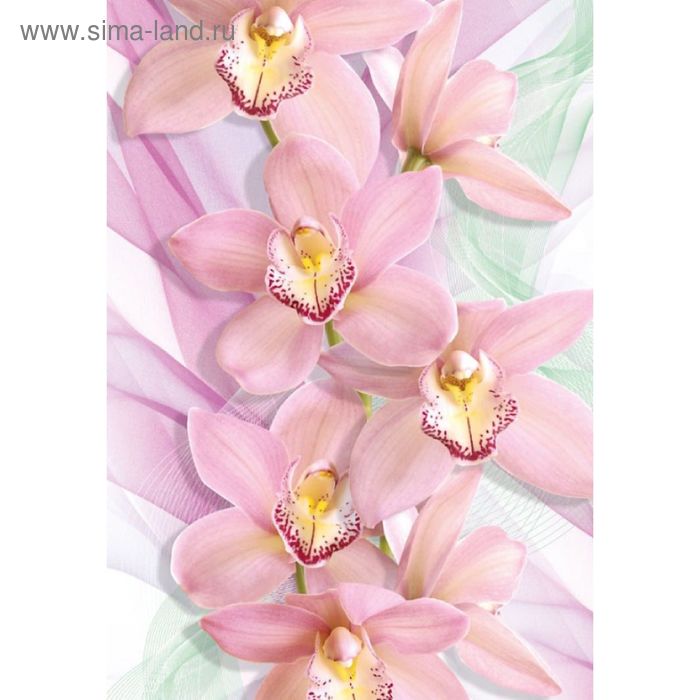 Фотообои Орхидеи ЛЮКС 1,94х1,36 м (из 4листов) - Фото 1