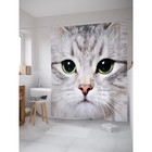 Фотоштора для ванной «Суровый котик», сатен, размер 180х200 см - фото 297844170