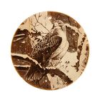 Доска из массива кедра «Сокол», круглая, 18 × 18 см - Фото 1