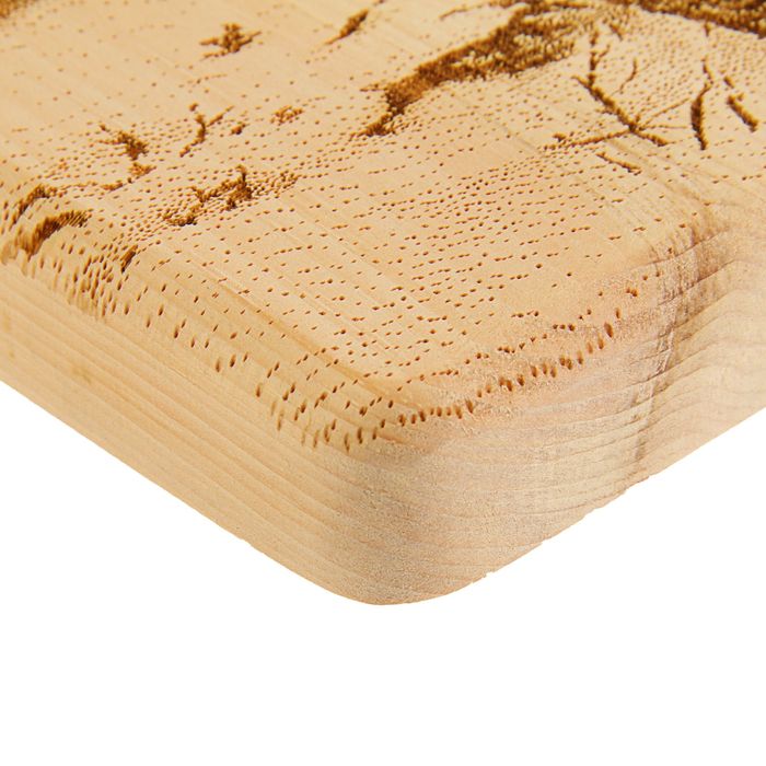 Доска из массива кедра «Рысь на снегу», квадратная, 18 × 18 см - фото 1905391953