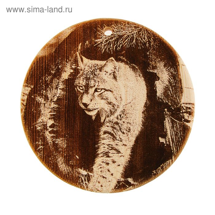 Доска из массива кедра «Рысь в дупле», круглая, 18 × 18 см - Фото 1