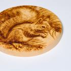 Доска из массива кедра «Бельчонок», круглая, 18 × 18 см - Фото 4