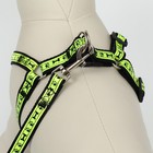 Комплект "Косточки и лапки" светоотражающий, поводок 120 х 1,5 см, ОГ 36-52 см, черный 169989 - фото 24693199