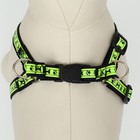 Комплект "Косточки и лапки" светоотражающий, поводок 120 х 1,5 см, ОГ 36-52 см, черный 169989 - фото 24693202