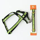 Комплект "Косточки и лапки" светоотражающий, поводок 120 х 1,5 см, ОГ 36-52 см, черный 169989 - фото 24693204