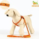 Шлейка с поводком «Собачки», 23-35 см, ширина 1 см, поводок 1.2 м, оранжевая - Фото 1