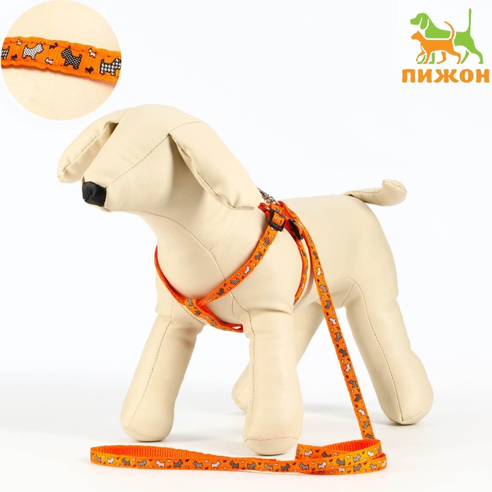 Шлейка с поводком «Собачки», 23-35 см, ширина 1 см, поводок 1.2 м, оранжевая - Фото 1