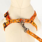 Шлейка с поводком «Собачки», 23-35 см, ширина 1 см, поводок 1.2 м, оранжевая - Фото 4