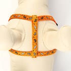 Шлейка с поводком «Собачки», 23-35 см, ширина 1 см, поводок 1.2 м, оранжевая - Фото 5