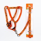 Шлейка с поводком «Собачки», 23-35 см, ширина 1 см, поводок 1.2 м, оранжевая - Фото 7