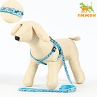 Комплект «Собачки», ширина 1 см, поводок 1.2 м, шлейка 23-35 см, голубой - Фото 1