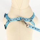 Комплект «Собачки», ширина 1 см, поводок 1.2 м, шлейка 23-35 см, голубой - Фото 4