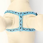 Комплект «Собачки», ширина 1 см, поводок 1.2 м, шлейка 23-35 см, голубой - Фото 5