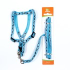 Комплект «Собачки», ширина 1 см, поводок 1.2 м, шлейка 23-35 см, голубой - Фото 7