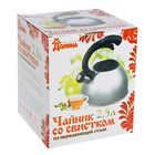 Чайник "Оптимал", со свистком, макс. объем 2,5 л, фиксированная ручка, с зеркальной полировкой, цвет черный - Фото 3