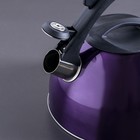Чайник со свистком 2,1 л "Модерн", фиксированная ручка, цвет фиолетовый - Фото 2