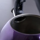 Чайник со свистком 2,1 л "Модерн", фиксированная ручка, цвет фиолетовый - Фото 4
