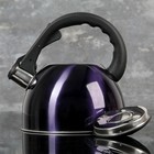 Чайник со свистком 2,1 л "Модерн", фиксированная ручка, цвет фиолетовый - Фото 7