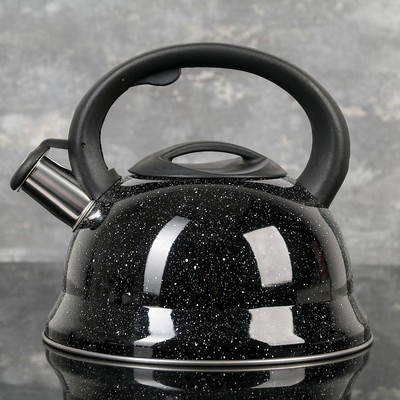 Чайник со свистком из нержавеющей стали Доляна «Рио», 2,8 л, фиксированная ручка, цвет чёрный