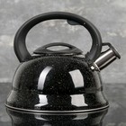 Чайник со свистком из нержавеющей стали Доляна «Рио», 2,8 л, фиксированная ручка, цвет чёрный - Фото 2