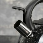 Чайник со свистком из нержавеющей стали Доляна «Рио», 2,8 л, фиксированная ручка, цвет чёрный - Фото 5