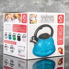 Чайник со свистком из нержавеющей стали Доляна «Рио», 2,8 л, фиксированная ручка, цвет чёрный - Фото 9