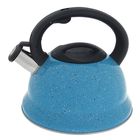 Чайник со свистком из нержавеющей стали Доляна «Рио», 2,8 л, фиксированная ручка, цвет голубой - Фото 1