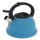 Чайник со свистком из нержавеющей стали Доляна «Рио», 2,8 л, фиксированная ручка, цвет голубой - Фото 2