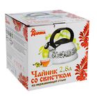 Чайник со свистком из нержавеющей стали Доляна «Рио», 2,8 л, фиксированная ручка, цвет голубой - Фото 3