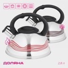 Чайник Доляна «Волна», 2.8 л, со свистком, с индикатором нагрева, фиксированная ручка, нержавеющая сталь - Фото 1