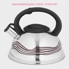 Чайник Доляна «Волна», 2.8 л, со свистком, с индикатором нагрева, фиксированная ручка, нержавеющая сталь - Фото 2