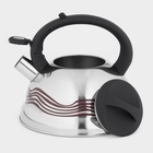 Чайник Доляна «Волна», 2.8 л, со свистком, с индикатором нагрева, фиксированная ручка, нержавеющая сталь - Фото 4