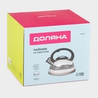 Чайник Доляна «Волна», 2.8 л, со свистком, с индикатором нагрева, фиксированная ручка, нержавеющая сталь - Фото 8