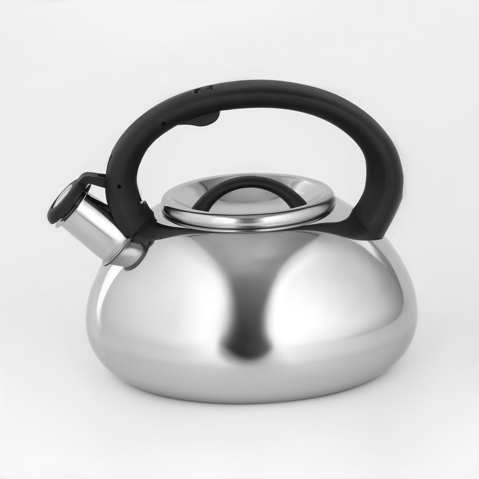 Чайник из нержавеющей стали со свистком Доляна «Квант», 2,8 л, фиксированная ручка, цвет хромированный
